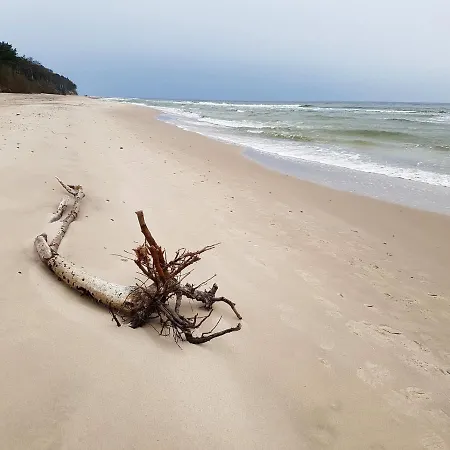 Dom wakacyjny Dom Na Skraju Łukęcin